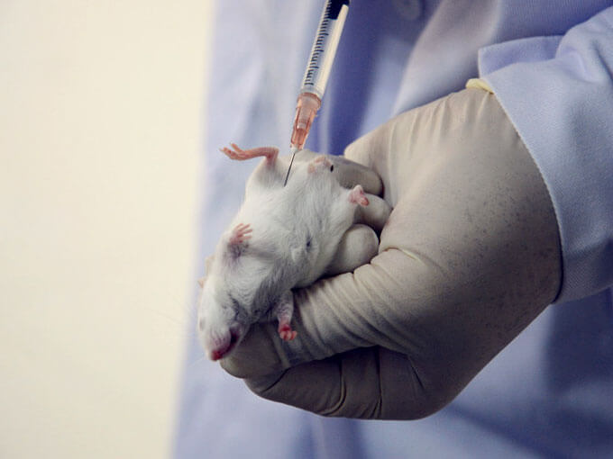 生物相容性試驗(yàn)的介紹和實(shí)行過(guò)程 生物相容性試驗(yàn)的介紹和實(shí)行過(guò)程